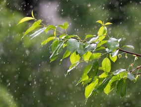   中央气象台继续发布台风黄色预警
